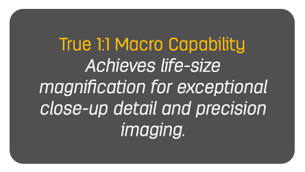 True 1:1 Macro Capability Achieves life-size magnification for exceptional close-up detail and precision imaging.